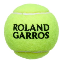 Wilson Tennisbälle Roland Garros Clay Dose 4er